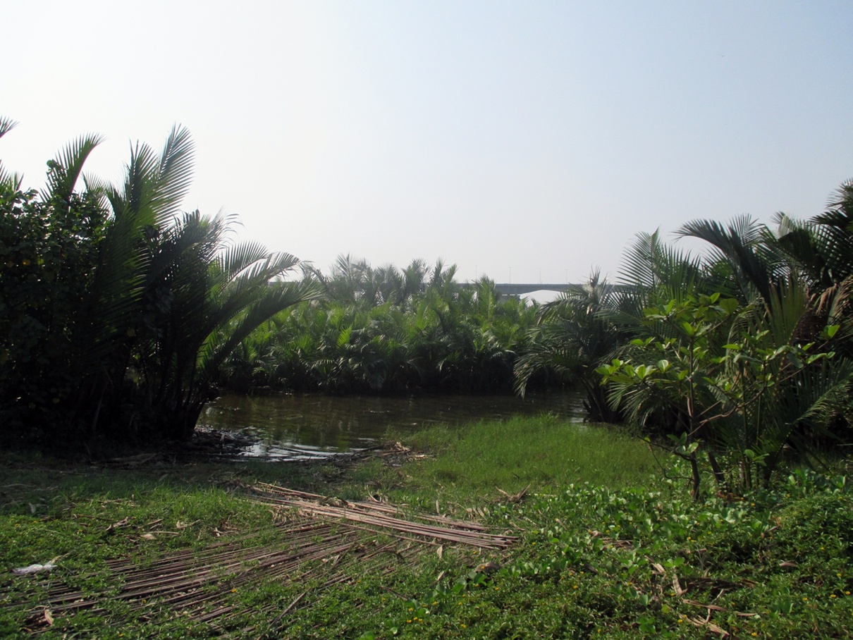 Bến đò thôn 2 - Cẩm Thanh - Hội An - Ảnh: Nguyễn Cường