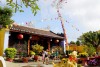 Apricot Blossom During Tết and Folk Beliefs in Hội An
