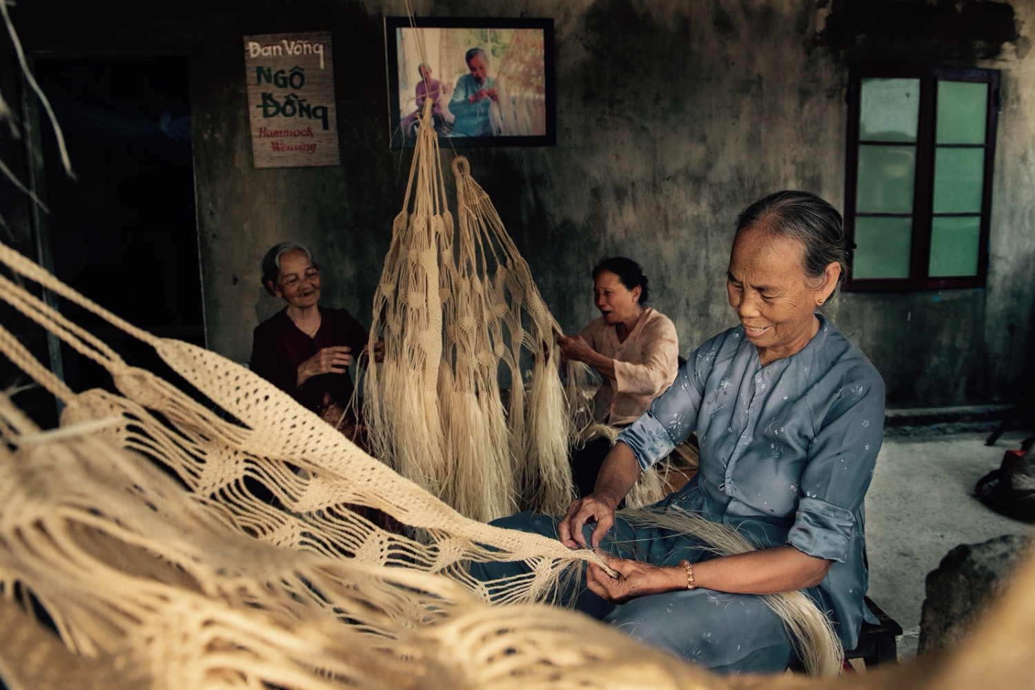 5 dan vong ngo dong