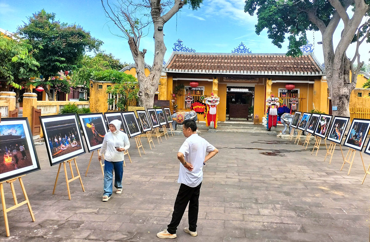 trien lam dinh ong voi