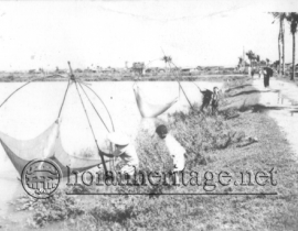 Activities of Culture and Beliefs