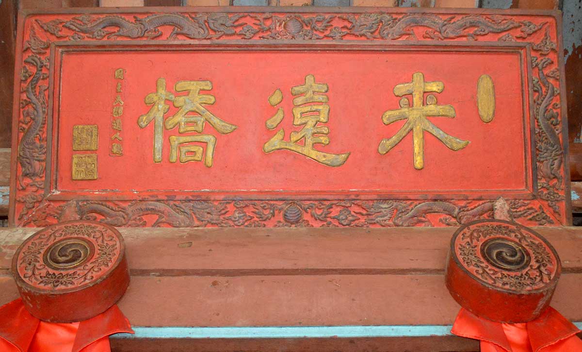 lai vien kieu