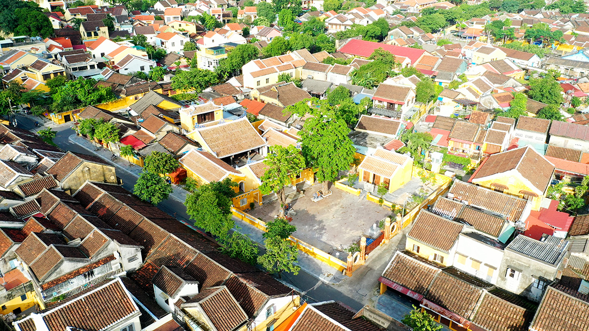khong anh dinh ong voi