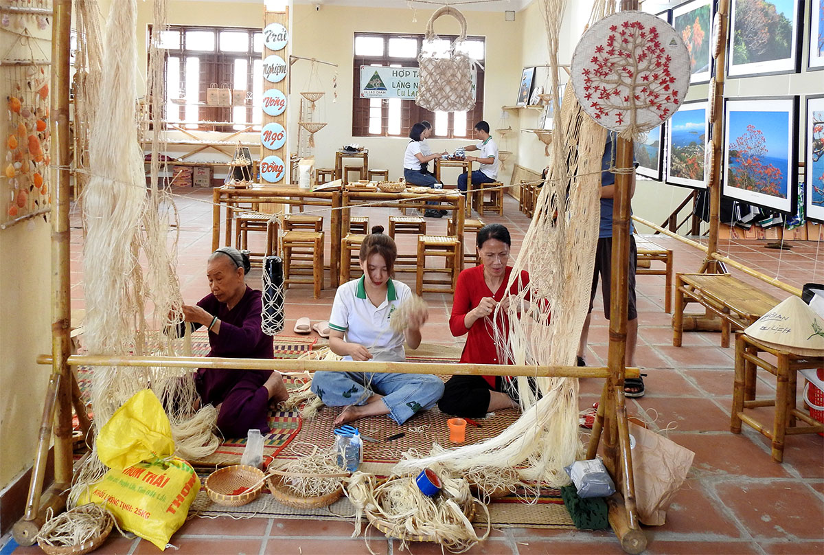 trai nghiem dan vong ngo dong